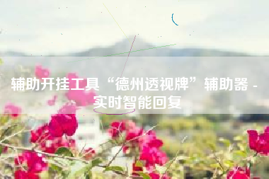 辅助开挂工具“德州透视牌	”辅助器 - 实时智能回复