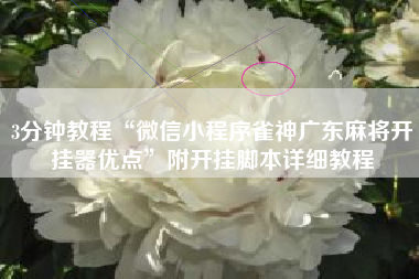 3分钟教程“微信小程序雀神广东麻将开挂器优点”附开挂脚本详细教程