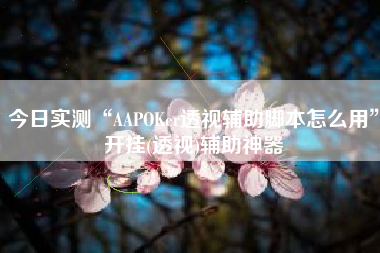 今日实测“AAPOKer透视辅助脚本怎么用”开挂(透视)辅助神器