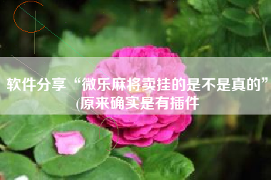 软件分享“微乐麻将卖挂的是不是真的”(原来确实是有插件