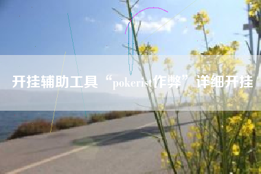 开挂辅助工具“pokerist作弊	”详细开挂