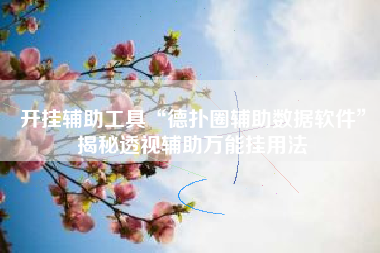 开挂辅助工具“德扑圈辅助数据软件”揭秘透视辅助万能挂用法