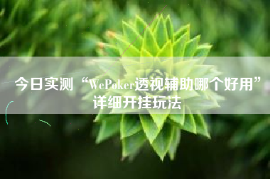 今日实测“WePoker透视辅助哪个好用”详细开挂玩法