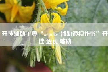 开挂辅助工具“wepoker辅助透视作弊	”开挂(透视)辅助