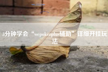 3分钟学会“wepokerplus辅助”详细开挂玩法