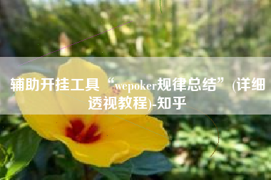 辅助开挂工具“wepoker规律总结”(详细透视教程)-知乎