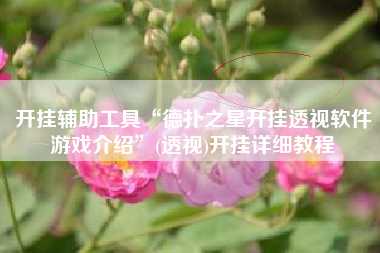 开挂辅助工具“德扑之星开挂透视软件游戏介绍	”(透视)开挂详细教程