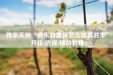 独家实测“微乐自建房怎么提高胜率	”开挂(透视)辅助教程