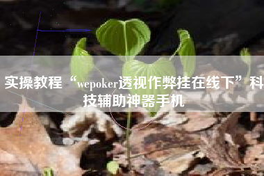 实操教程“wepoker透视作弊挂在线下”科技辅助神器手机