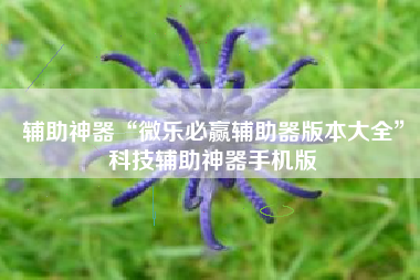 辅助神器“微乐必赢辅助器版本大全	”科技辅助神器手机版