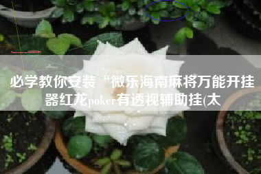 必学教你安装“微乐海南麻将万能开挂器红龙poker有透视辅助挂(太