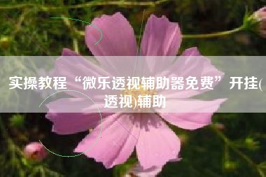 实操教程“微乐透视辅助器免费”开挂(透视)辅助