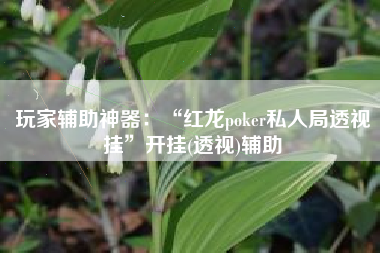 玩家辅助神器：“红龙poker私人局透视挂”开挂(透视)辅助