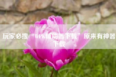 玩家必搜“WPK辅助器下载”原来有神器下载