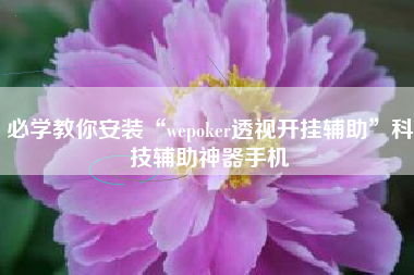 必学教你安装“wepoker透视开挂辅助”科技辅助神器手机
