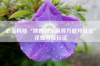 必备科技“陕西微乐麻将万能开挂器	”详细开挂玩法