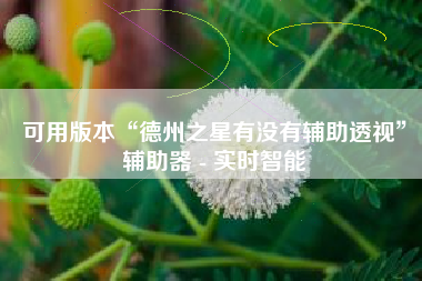 可用版本“德州之星有没有辅助透视	”辅助器 - 实时智能