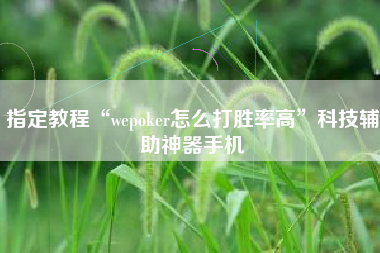 指定教程“wepoker怎么打胜率高	”科技辅助神器手机