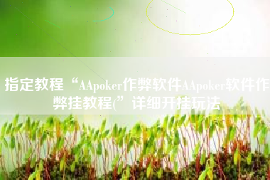 指定教程“AApoker作弊软件AApoker软件作弊挂教程(	”详细开挂玩法