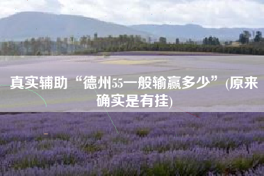 真实辅助“德州55一般输赢多少	”(原来确实是有挂)