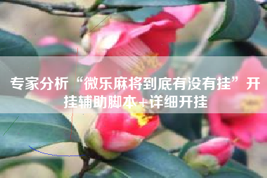 专家分析“微乐麻将到底有没有挂	”开挂辅助脚本+详细开挂