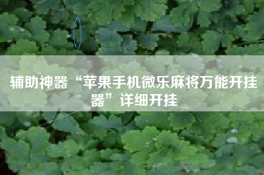 辅助神器“苹果手机微乐麻将万能开挂器	”详细开挂