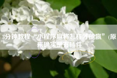 3分钟教程“小程序麻将怎样才能赢”(原来确实是有插件