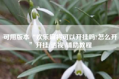 可用版本“欢乐麻将可以开挂吗?怎么开”开挂(透视)辅助教程