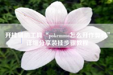 开挂辅助工具“pokemmo怎么开作弊码	”详细分享装挂步骤教程