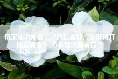 玩家辅助神器：“微信雀神广东麻将开挂最新版	”(原来确实是有插件