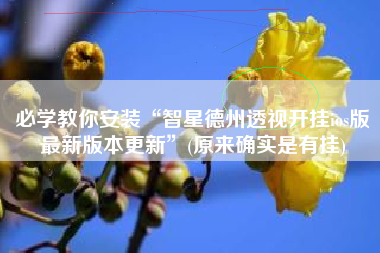 必学教你安装“智星德州透视开挂ios版最新版本更新	”(原来确实是有挂)