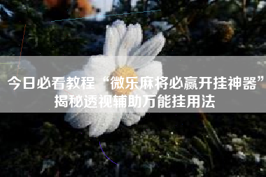 今日必看教程“微乐麻将必赢开挂神器”揭秘透视辅助万能挂用法