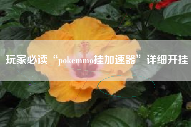 玩家必读“pokemmo挂加速器”详细开挂