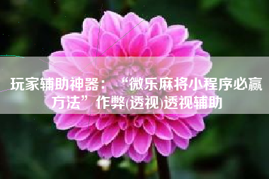 玩家辅助神器：“微乐麻将小程序必赢方法”作弊(透视)透视辅助