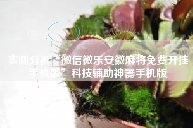 实测分析“微信微乐安徽麻将免费开挂手机版”科技辅助神器手机版