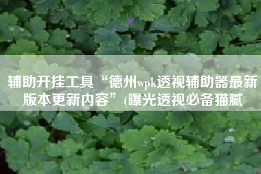 辅助开挂工具“德州wpk透视辅助器最新版本更新内容”(曝光透视必备猫腻