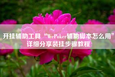 开挂辅助工具“WePoker辅助脚本怎么用	”详细分享装挂步骤教程