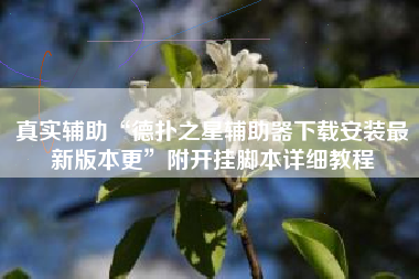 真实辅助“德扑之星辅助器下载安装最新版本更	”附开挂脚本详细教程