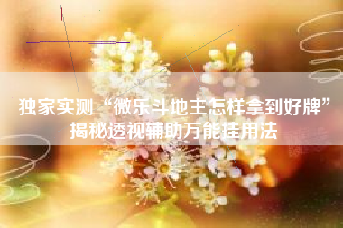 独家实测“微乐斗地主怎样拿到好牌	”揭秘透视辅助万能挂用法