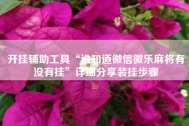 开挂辅助工具“谁知道微信微乐麻将有没有挂	”详细分享装挂步骤