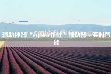 辅助神器“wepoker作弊	”辅助器 - 实时智能