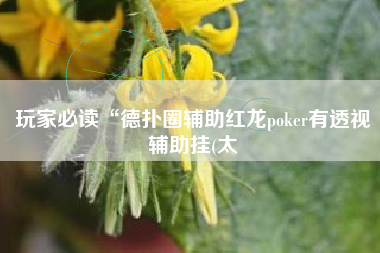 玩家必读“德扑圈辅助红龙poker有透视辅助挂(太