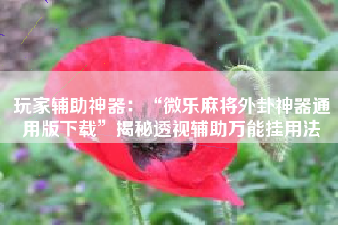 玩家辅助神器：“微乐麻将外卦神器通用版下载	”揭秘透视辅助万能挂用法