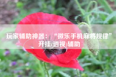 玩家辅助神器:“微乐手机麻将规律”开挂(透视)辅助 玩家辅助神器:“微乐手机麻将规律”开挂(透视)辅助