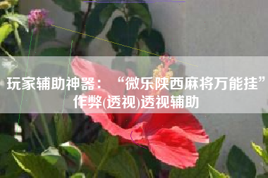 玩家辅助神器：“微乐陕西麻将万能挂	”作弊(透视)透视辅助
