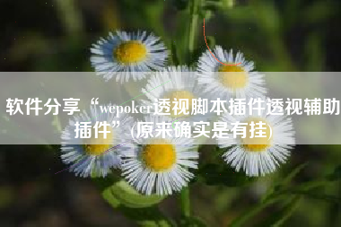 软件分享“wepoker透视脚本插件透视辅助插件	”(原来确实是有挂)
