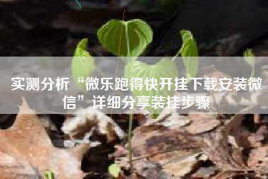 实测分析“微乐跑得快开挂下载安装微信	”详细分享装挂步骤