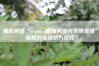 辅助神器“wepoker德州有没有发牌规律”揭秘透视辅助万能挂
