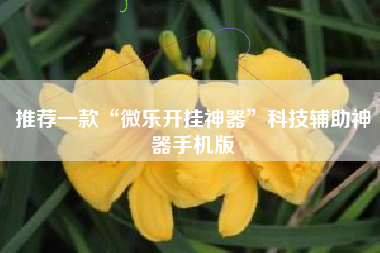 推荐一款“微乐开挂神器	”科技辅助神器手机版