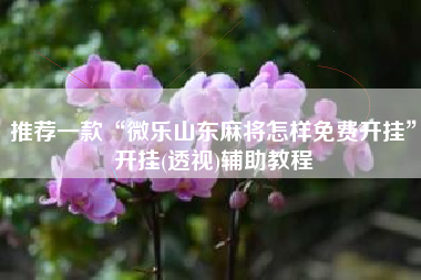 推荐一款“微乐山东麻将怎样免费开挂	”开挂(透视)辅助教程